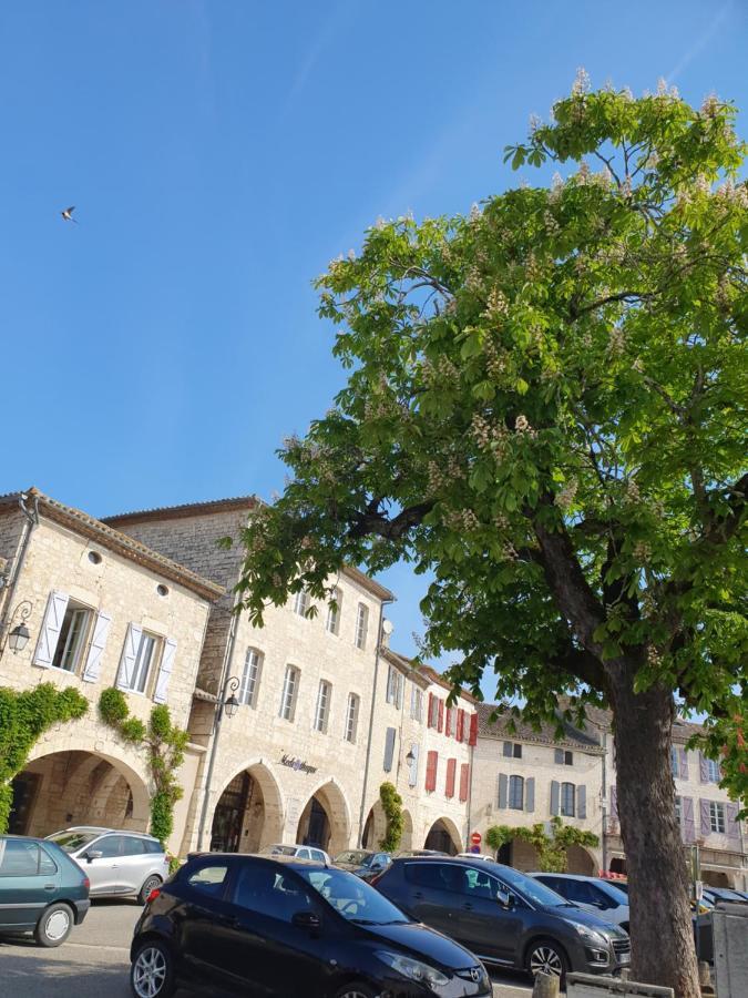 La Cour Saint Louis Bed & Breakfast Castelnau-Montratier Dış mekan fotoğraf
